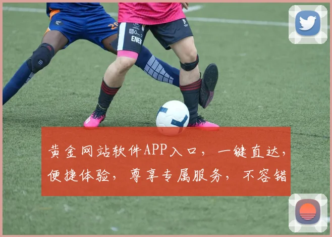 黄金网站软件APP入口，一键直达，便捷体验，尊享专属服务，不容错过