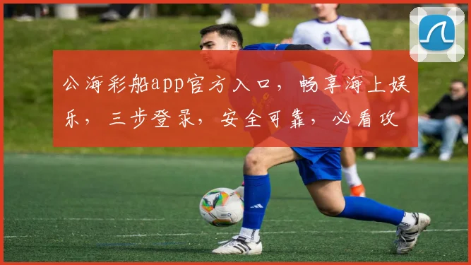 公海彩船app官方入口，畅享海上娱乐，三步登录，安全可靠，必看攻略