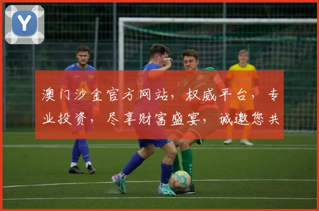 澳门沙金官方网站，权威平台，专业投资，尽享财富盛宴，诚邀您共鉴