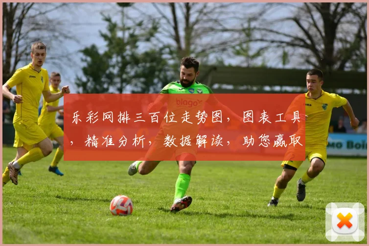 乐彩网排三百位走势图，图表工具，精准分析，数据解读，助您赢取大奖，三步掌握